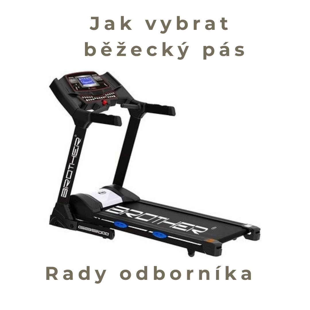 rady odborníka